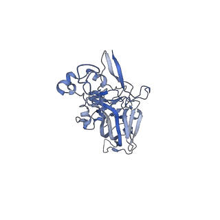 21667_6wh3_e_v1-3
Capsid structure of Penaeus monodon metallodensovirus at pH 8.2