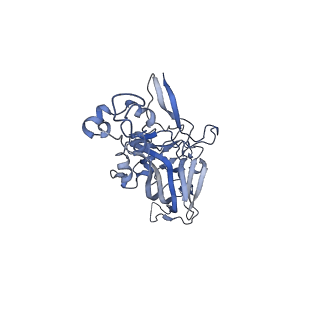 21667_6wh3_e_v1-4
Capsid structure of Penaeus monodon metallodensovirus at pH 8.2