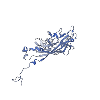 21667_6wh3_f_v1-3
Capsid structure of Penaeus monodon metallodensovirus at pH 8.2