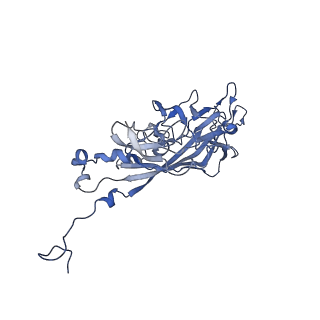 21667_6wh3_f_v1-4
Capsid structure of Penaeus monodon metallodensovirus at pH 8.2