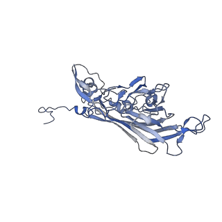 21667_6wh3_g_v1-3
Capsid structure of Penaeus monodon metallodensovirus at pH 8.2