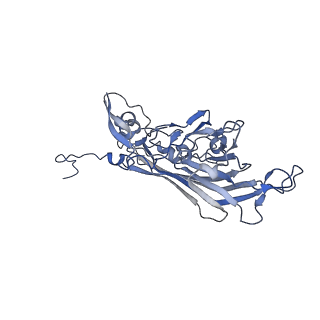 21667_6wh3_g_v1-4
Capsid structure of Penaeus monodon metallodensovirus at pH 8.2