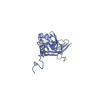 21667_6wh3_h_v1-3
Capsid structure of Penaeus monodon metallodensovirus at pH 8.2