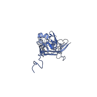 21667_6wh3_h_v1-4
Capsid structure of Penaeus monodon metallodensovirus at pH 8.2