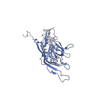 21667_6wh3_i_v1-3
Capsid structure of Penaeus monodon metallodensovirus at pH 8.2