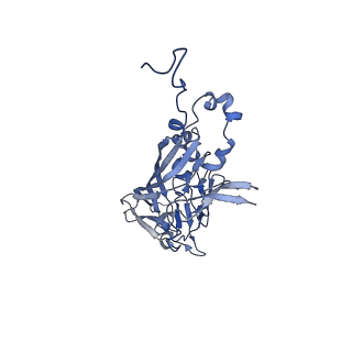 21667_6wh3_j_v1-3
Capsid structure of Penaeus monodon metallodensovirus at pH 8.2