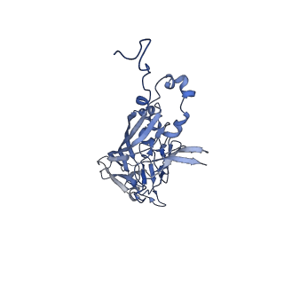 21667_6wh3_j_v1-4
Capsid structure of Penaeus monodon metallodensovirus at pH 8.2