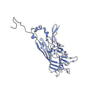 21667_6wh3_k_v1-4
Capsid structure of Penaeus monodon metallodensovirus at pH 8.2