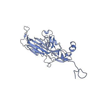 21667_6wh3_l_v1-3
Capsid structure of Penaeus monodon metallodensovirus at pH 8.2