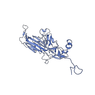 21667_6wh3_l_v1-4
Capsid structure of Penaeus monodon metallodensovirus at pH 8.2