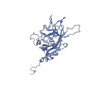 21667_6wh3_m_v1-3
Capsid structure of Penaeus monodon metallodensovirus at pH 8.2