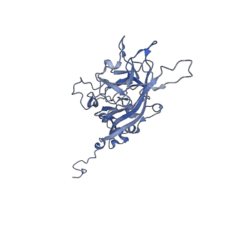 21667_6wh3_m_v1-4
Capsid structure of Penaeus monodon metallodensovirus at pH 8.2