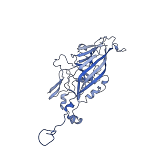 21667_6wh3_n_v1-3
Capsid structure of Penaeus monodon metallodensovirus at pH 8.2