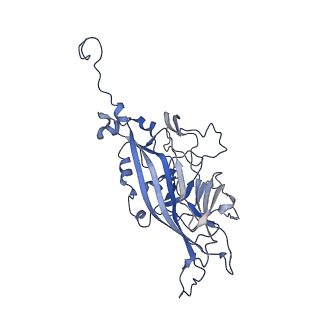 21667_6wh3_o_v1-3
Capsid structure of Penaeus monodon metallodensovirus at pH 8.2
