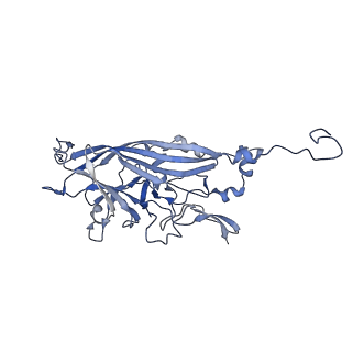 21667_6wh3_p_v1-3
Capsid structure of Penaeus monodon metallodensovirus at pH 8.2
