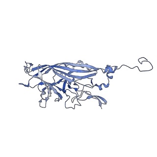 21667_6wh3_p_v1-4
Capsid structure of Penaeus monodon metallodensovirus at pH 8.2