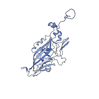21667_6wh3_q_v1-3
Capsid structure of Penaeus monodon metallodensovirus at pH 8.2