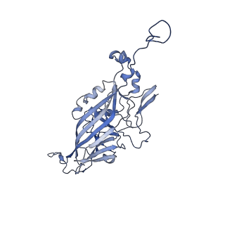 21667_6wh3_q_v1-4
Capsid structure of Penaeus monodon metallodensovirus at pH 8.2