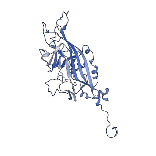 21667_6wh3_r_v1-3
Capsid structure of Penaeus monodon metallodensovirus at pH 8.2