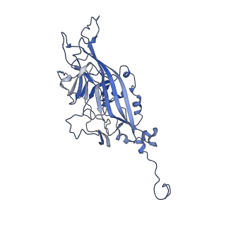 21667_6wh3_r_v1-4
Capsid structure of Penaeus monodon metallodensovirus at pH 8.2