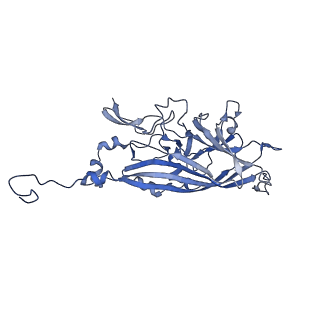 21667_6wh3_s_v1-4
Capsid structure of Penaeus monodon metallodensovirus at pH 8.2