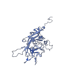 21667_6wh3_t_v1-3
Capsid structure of Penaeus monodon metallodensovirus at pH 8.2