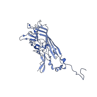 21667_6wh3_u_v1-3
Capsid structure of Penaeus monodon metallodensovirus at pH 8.2