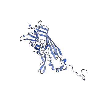 21667_6wh3_u_v1-4
Capsid structure of Penaeus monodon metallodensovirus at pH 8.2