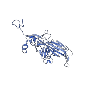21667_6wh3_v_v1-3
Capsid structure of Penaeus monodon metallodensovirus at pH 8.2
