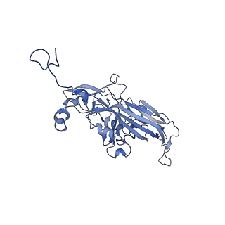 21667_6wh3_v_v1-4
Capsid structure of Penaeus monodon metallodensovirus at pH 8.2