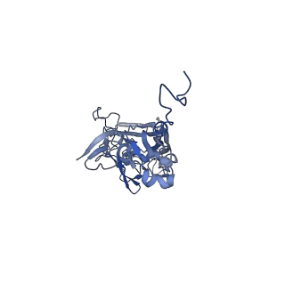 21667_6wh3_w_v1-3
Capsid structure of Penaeus monodon metallodensovirus at pH 8.2