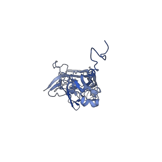 21667_6wh3_w_v1-4
Capsid structure of Penaeus monodon metallodensovirus at pH 8.2