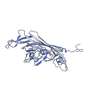 21667_6wh3_x_v1-4
Capsid structure of Penaeus monodon metallodensovirus at pH 8.2