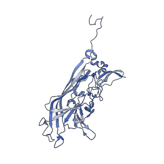 21667_6wh3_y_v1-4
Capsid structure of Penaeus monodon metallodensovirus at pH 8.2