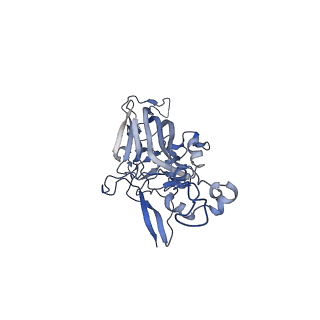 21667_6wh3_z_v1-3
Capsid structure of Penaeus monodon metallodensovirus at pH 8.2