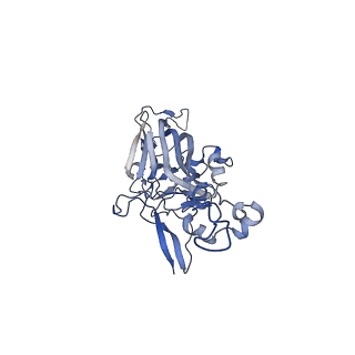 21667_6wh3_z_v1-4
Capsid structure of Penaeus monodon metallodensovirus at pH 8.2