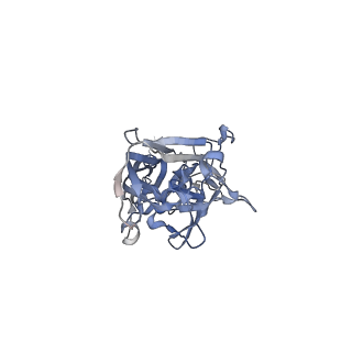 21668_6wh7_1_v1-3
Capsid structure of Penaeus monodon metallodensovirus following EDTA treatment