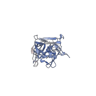 21668_6wh7_1_v1-4
Capsid structure of Penaeus monodon metallodensovirus following EDTA treatment