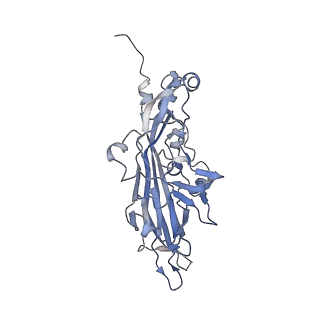 21668_6wh7_2_v1-3
Capsid structure of Penaeus monodon metallodensovirus following EDTA treatment