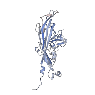 21668_6wh7_3_v1-4
Capsid structure of Penaeus monodon metallodensovirus following EDTA treatment