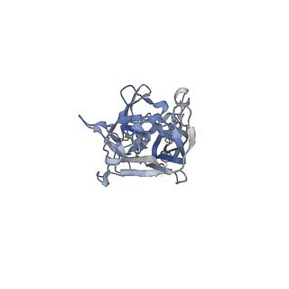 21668_6wh7_4_v1-3
Capsid structure of Penaeus monodon metallodensovirus following EDTA treatment