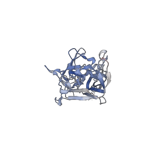 21668_6wh7_4_v1-4
Capsid structure of Penaeus monodon metallodensovirus following EDTA treatment