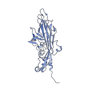 21668_6wh7_5_v1-3
Capsid structure of Penaeus monodon metallodensovirus following EDTA treatment