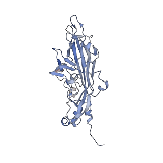 21668_6wh7_5_v1-4
Capsid structure of Penaeus monodon metallodensovirus following EDTA treatment