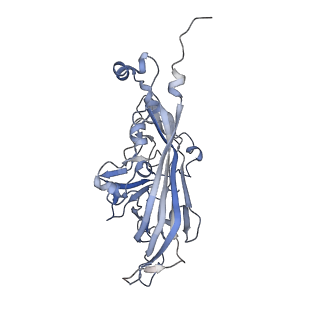 21668_6wh7_6_v1-3
Capsid structure of Penaeus monodon metallodensovirus following EDTA treatment