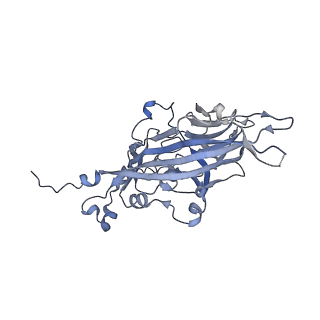 21668_6wh7_7_v1-3
Capsid structure of Penaeus monodon metallodensovirus following EDTA treatment