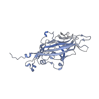 21668_6wh7_7_v1-4
Capsid structure of Penaeus monodon metallodensovirus following EDTA treatment