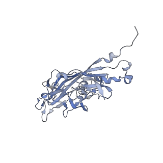 21668_6wh7_8_v1-4
Capsid structure of Penaeus monodon metallodensovirus following EDTA treatment