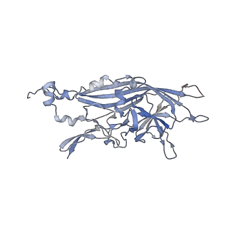 21668_6wh7_A_v1-3
Capsid structure of Penaeus monodon metallodensovirus following EDTA treatment