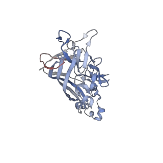 21668_6wh7_C_v1-3
Capsid structure of Penaeus monodon metallodensovirus following EDTA treatment